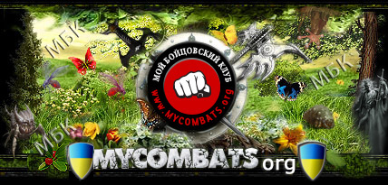   MMORPG      -  -     